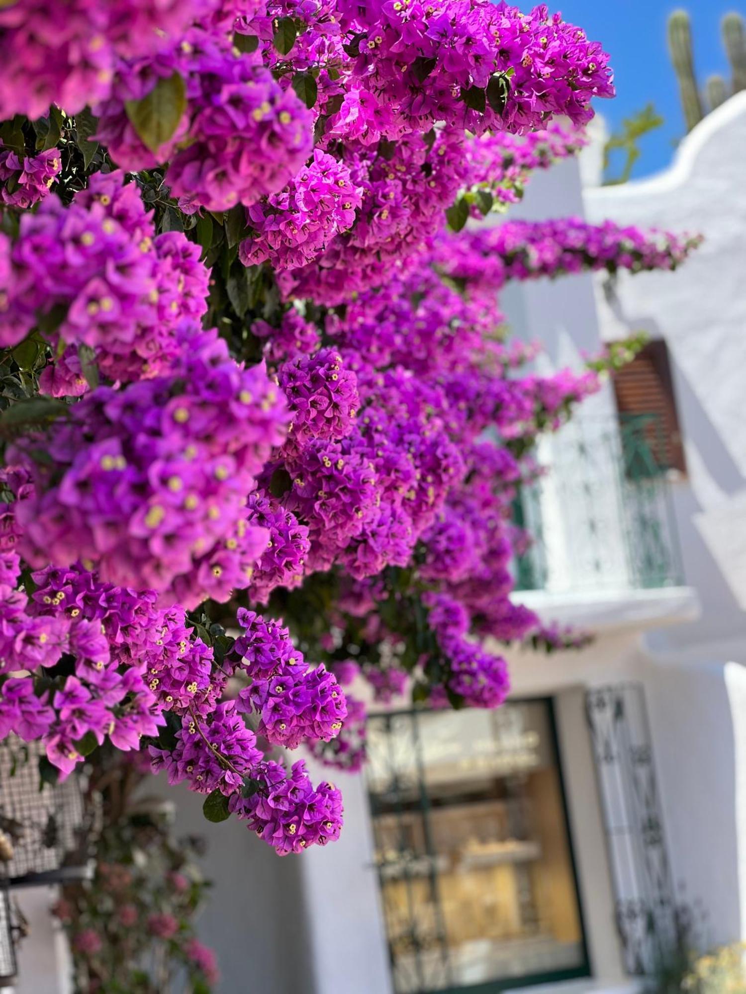 Boutique Hotel Solaz Porto Rafael Luaran gambar